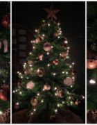 De week van… Carla Rijbroek – Beleef Schoonheid