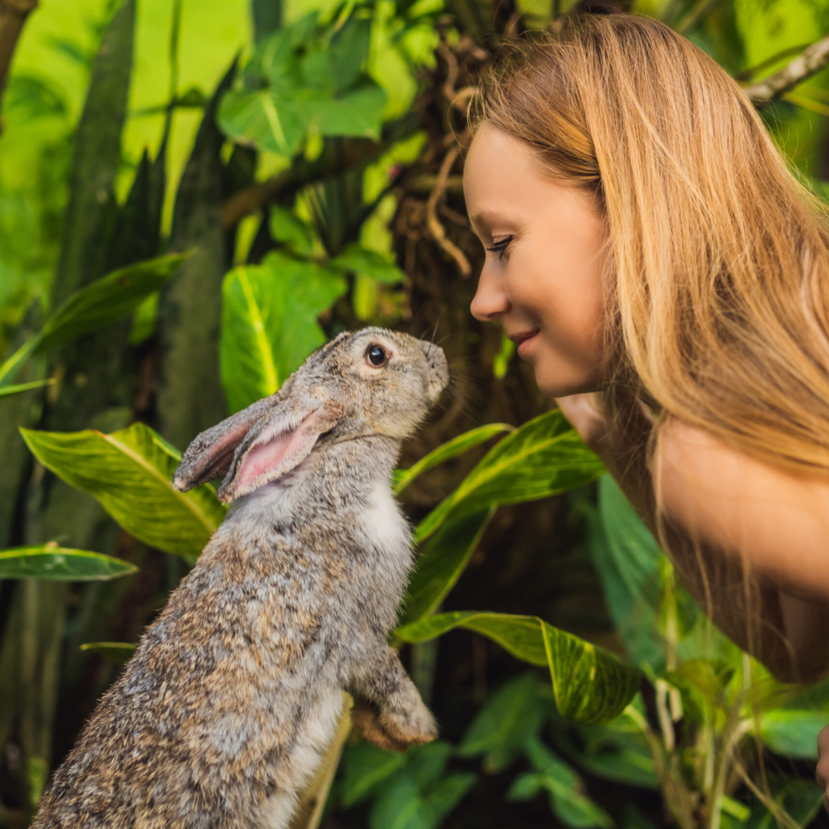 Cruelty-free en Animal-free: het verschil én hoe zit het in Europa?