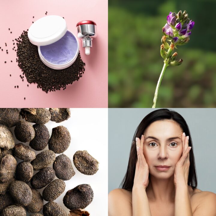 Bakuchiol, de nieuwe retinol?