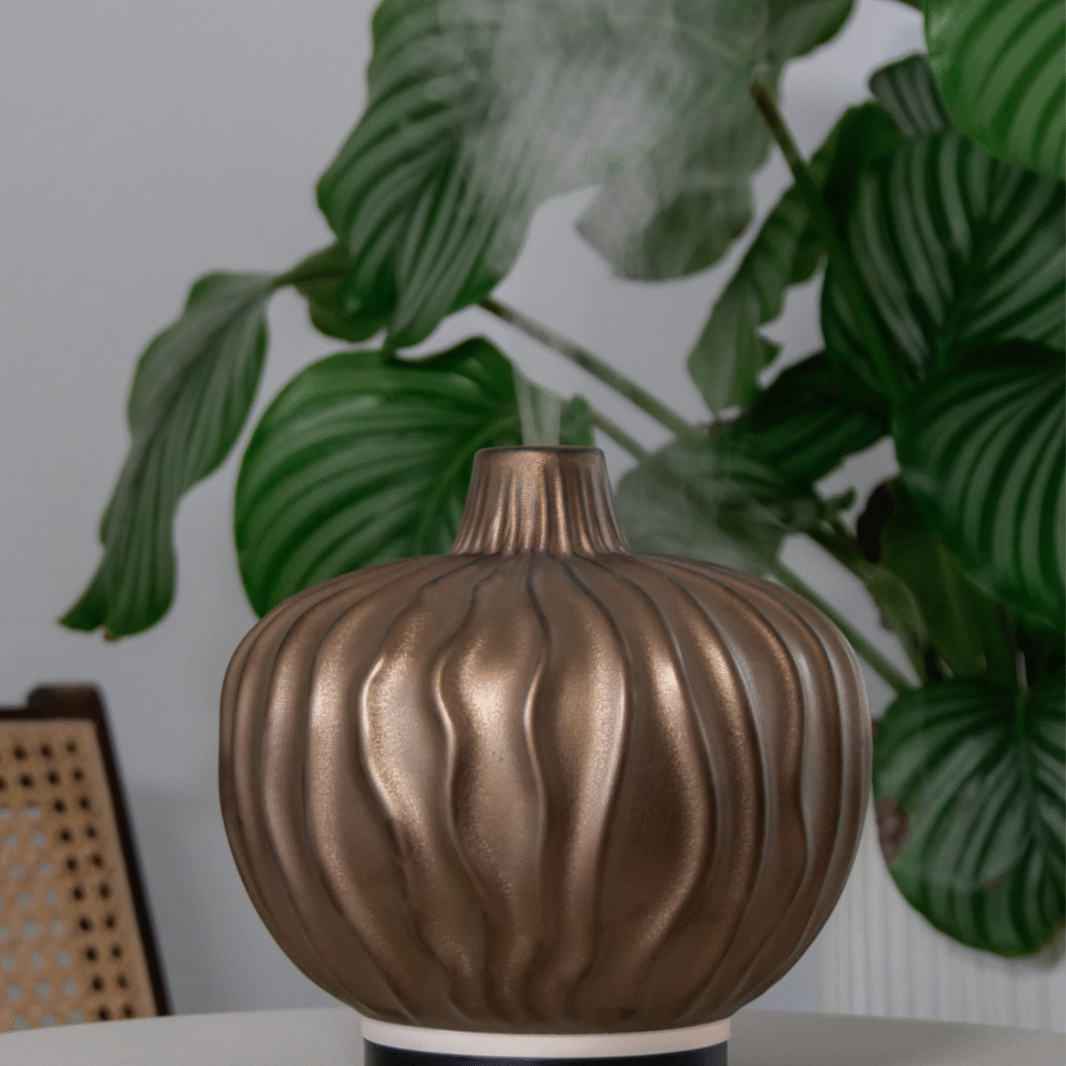 Nieuw van Chi Natural Life: Clove aroma diffuser!