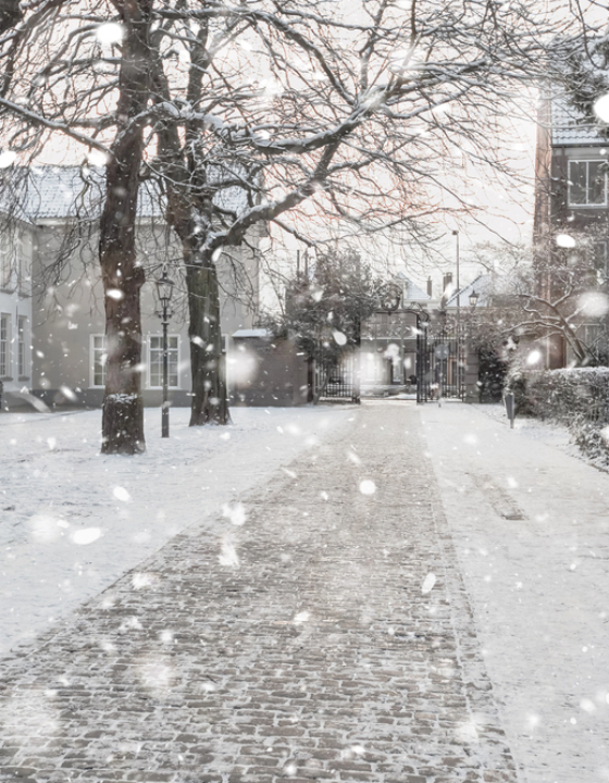 Fris beginnen in 2026