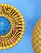 Day of Beauty 2026 keert terug met vernieuwd beursconcept in Antwerp Expo