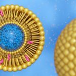 Exosomen zijn kleine membraanblaasjes die een rol spelen in celcommunicatie.