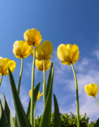 Rol beautyprofessional bij stress en burn-out