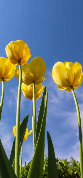 Voorjaarszon wordt onderschat: waarom cliënten nu sneller huidschade oplopen