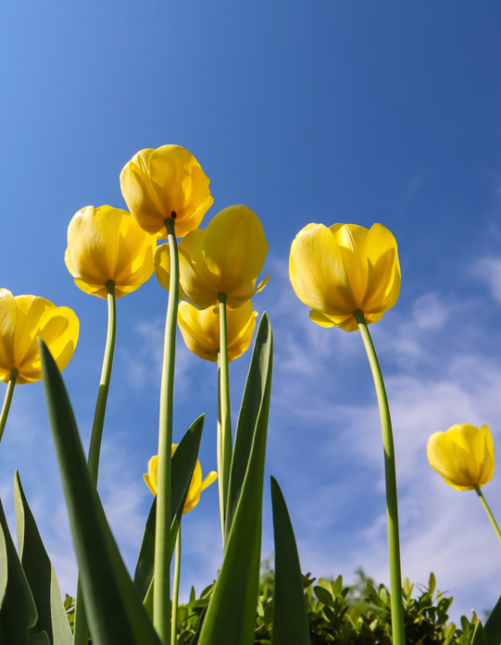 Voorjaarszon wordt onderschat: waarom cliënten nu sneller huidschade oplopen