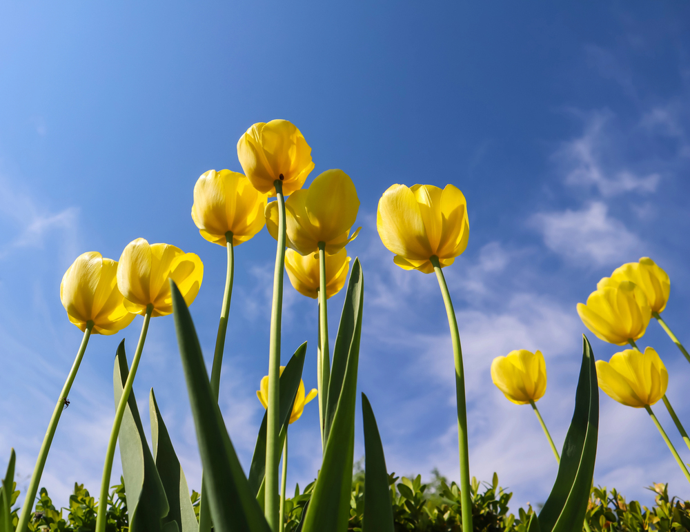 Voorjaarszon wordt onderschat: waarom cliënten nu sneller huidschade oplopen
